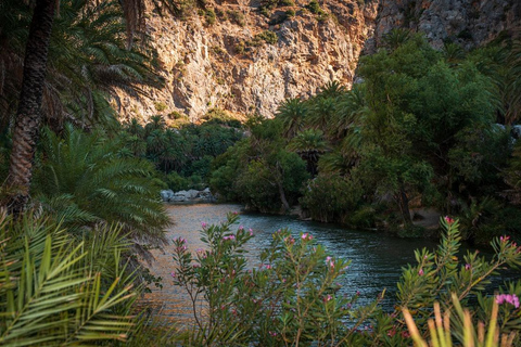 Panormo/Lavris: 1-dniowa wycieczka na plażę Preveli i do wąwozu Kourtaliotis