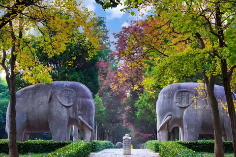 Nanjing: Presidential Palace & Ming Xiaoling Site Ticket Ming Xiaoling Site Ticket