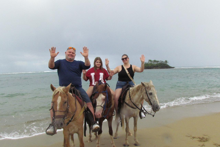 Puerto Plata: Horseback Tour of the Beach and Local Community