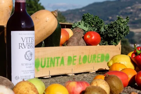 Douro Valley: Traditional Cooking Class, Farm Tour & Lunch