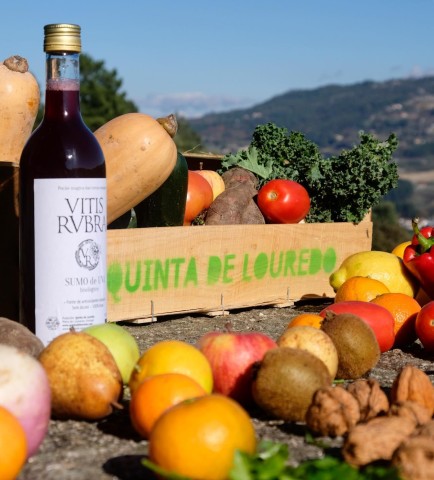 Visit Traditional Cooking Class and Farm Tour in the Douro Valley in Madeira