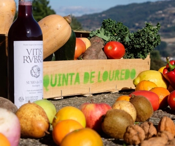 Vale do Douro: Aula de cozinha tradicional, visita à quinta e almoço