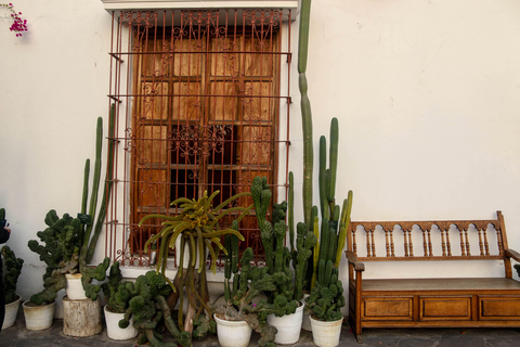 Night in Lima: Larco Museum and gourmet dinner at El Café del Museo.