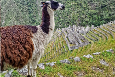 Cusco: Machu Picchu 1-Day Inca Trail with Train