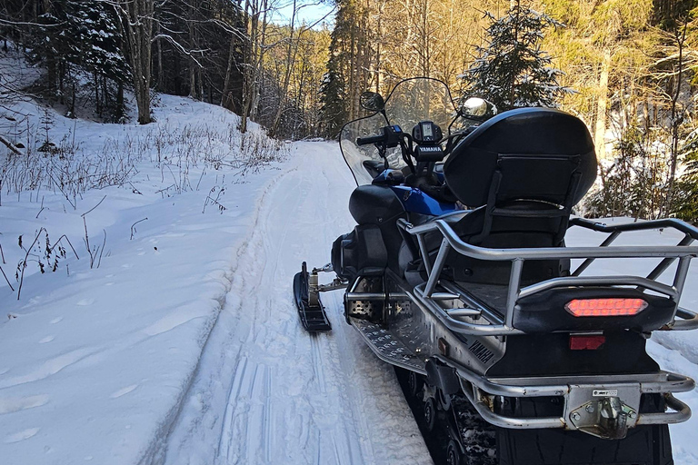 ATV or Snowmobile ride in the mountains from Bucharest