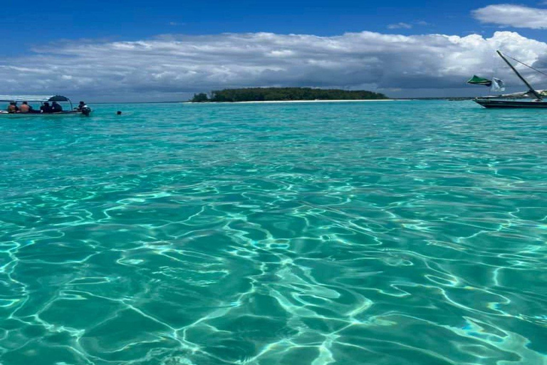 Zanzibar: snorkelen en dolfijnen kijken op Mnemba Island