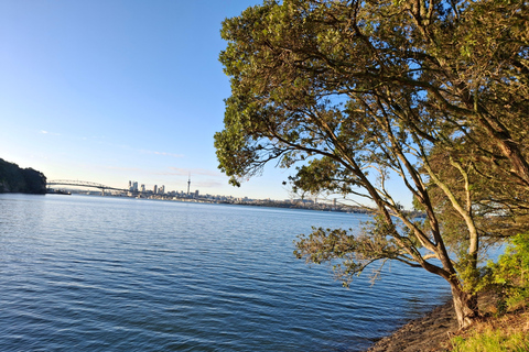 Auckland: Nature, Art, Seaside and Sugar Tour