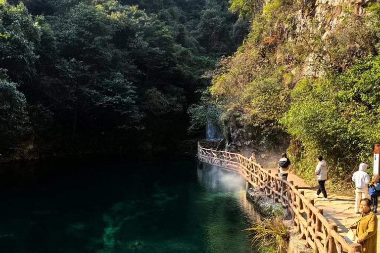 Hangzhou: Tea Picking, Tea Hills Hike & BBQ
