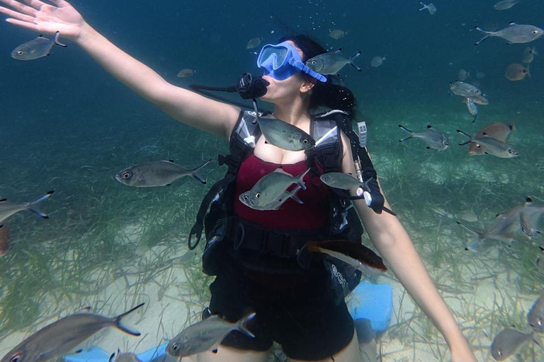 Mahdia: Guided Medina Tour and Scuba Diving Experience