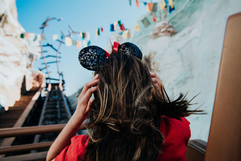 Limited Time Offer: Disney 4-Day, 4-Parks Magic Ticket 2-Day Walt Disney World Tickets with Park Hopper