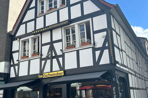 Excursion to Bonn by train from Cologne