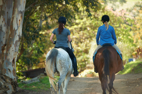 From Cannes: Private Horseback Ride with Mountain Views Private Horseback Ride with Mountain Views (With Pickup)