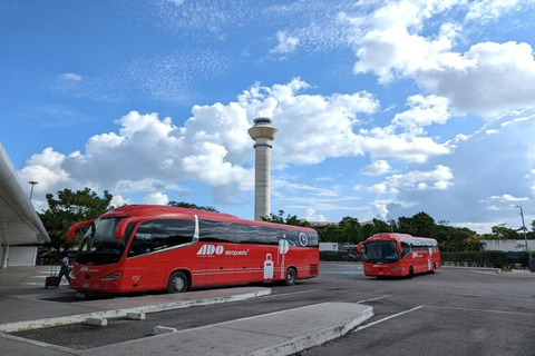 Cancun: Airport Transfer to/from Downtown by Bus Single Bus Ticket from Cancun Airport to Downtown Cancun