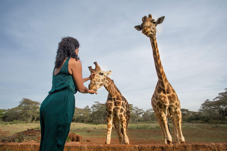 Nairobi National Park: begeleide gamedrive bij zonsopgang of zonsondergang