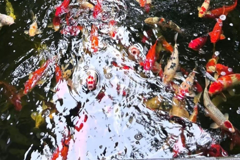 Chiang Rai IG Lalitta Cafe and White, Blue, Red Temples Tour NO Long Neck: Meet point Wat Phra Singh