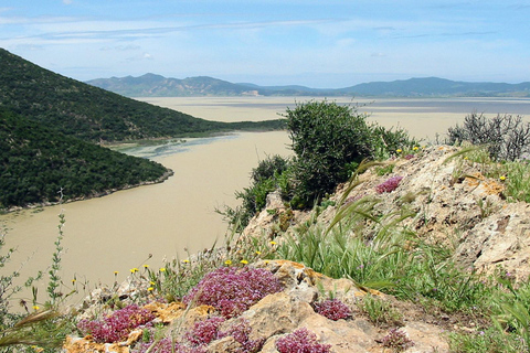 From Tunis: Utica, Ghar el-Melh, and Bizerte Day Trip