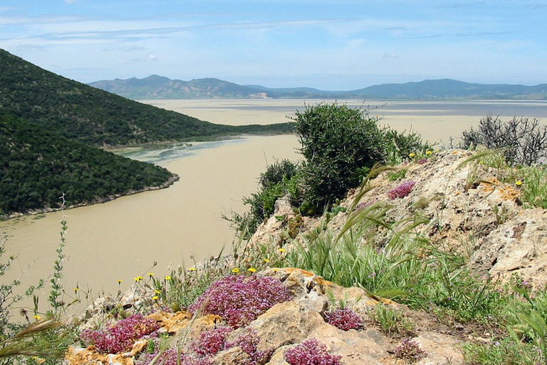 From Tunis: Utica, Ghar el-Melh, and Bizerte Day Trip