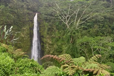 Kona: Avventura sul Grande Vulcano dell'Isola Grande