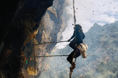 Wild Honey Hunting Tour in Lamjung