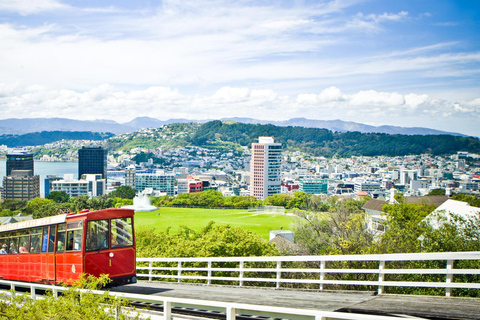 Wellington: WLG Airport to City Private RoundTrip Transfer