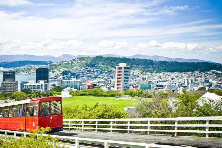 Wellington: WLG Airport to City Private RoundTrip Transfer