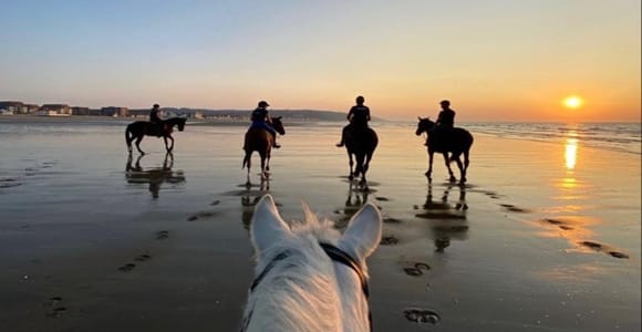 Sousse: Forest or Seaside Horseback Riding with Pickup