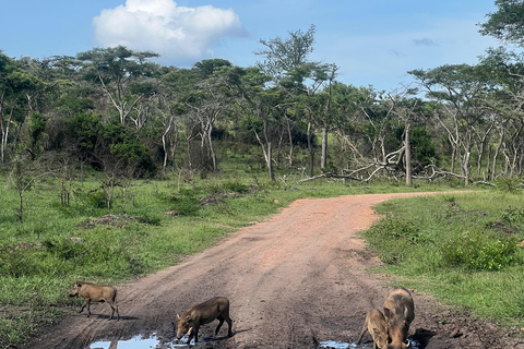 Entebbe: Nationaal Park Lake Mburo, Equator Tour &amp; Rondvaart