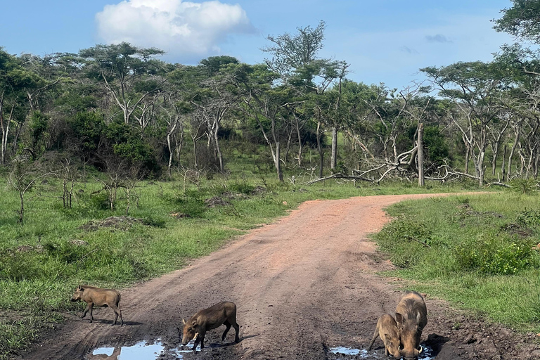 Entebbe: Nationaal Park Lake Mburo, Equator Tour &amp; Rondvaart