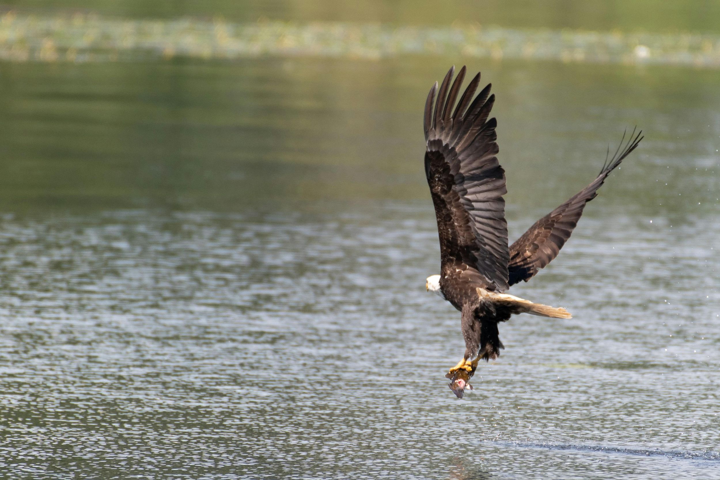 Zululand: Vogelbeobachtung & Kulturerlebnis