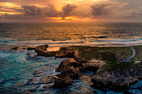 Rottnest Island Seals, Sunset & West End Bus Tour