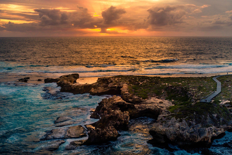Rottnest Island Seals, Sunset & West End Bus Tour
