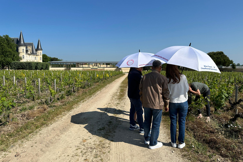 L&#039;ultimo tour dei vini di Bordeaux e del Medoc - VanIl tour del vino definitivo / 1855 castelli classificati - Van