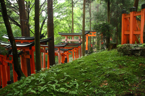 Day tour of Kyoto+Nara, Fushimi Inari Taisha+Arashiyama