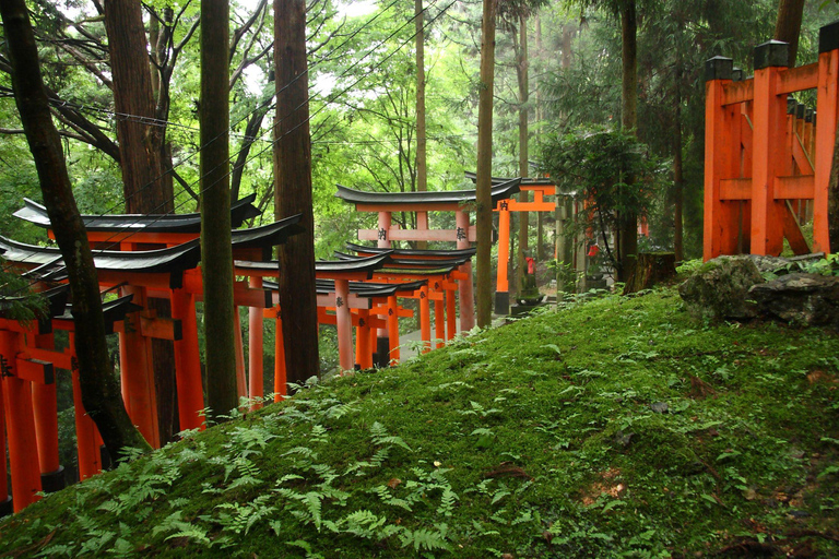 Day tour of Kyoto+Nara, Fushimi Inari Taisha+Arashiyama
