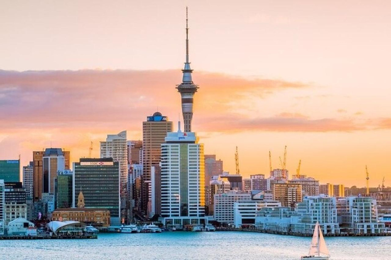 Auckland: Best Street Food Tour With A Local Guide Auckland: 3 Hours Private Food Tasting Walking Tour