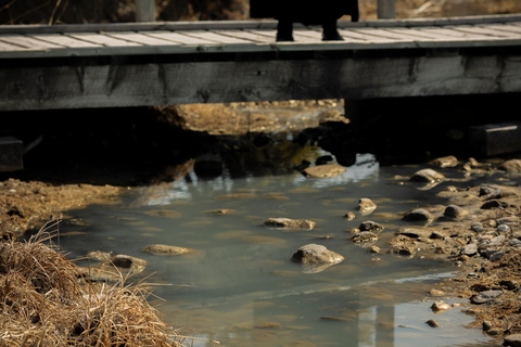 Banff: Paranormal History Walking Ghost Tour