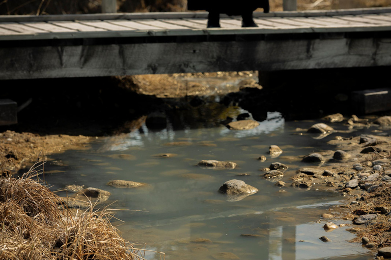 Banff: Paranormal History Walking Ghost Tour