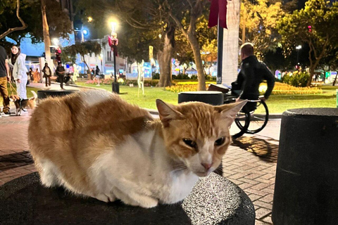 Lima: Miraflores Night Tour with Pisco Sour or Chilcano