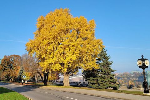 Z Toronto: Wycieczka nad wodospad Niagara