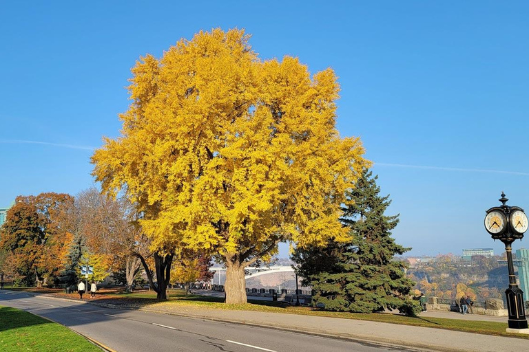 Z Toronto: Wycieczka nad wodospad Niagara