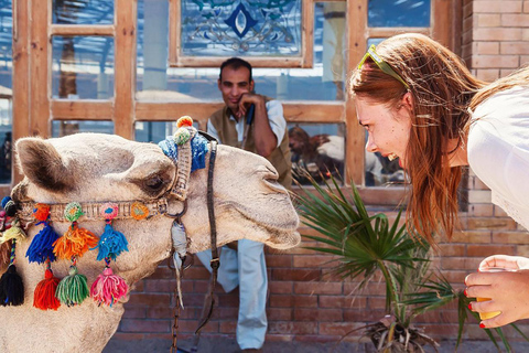 Marsa Alam: Excursión a las estrellas del desierto con paseo en camello y cena