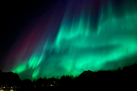 Lyngen: Sami Culture, Reindeer & Northern Lights