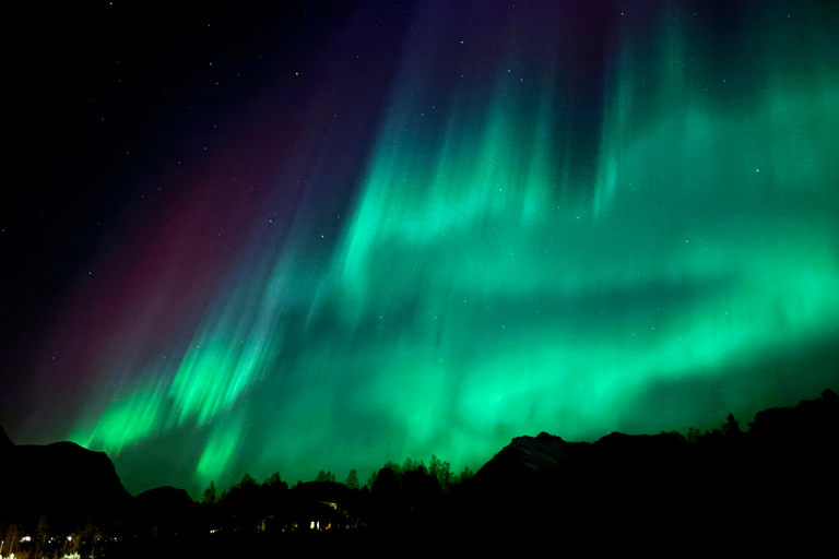 Lyngen: Sami Culture, Reindeer & Northern Lights