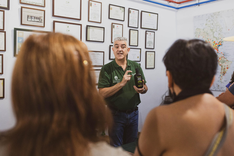 Jaén: Guided Olive Mill Tour with Olive Oil Tasting Visita Guiada a Almazara Turística