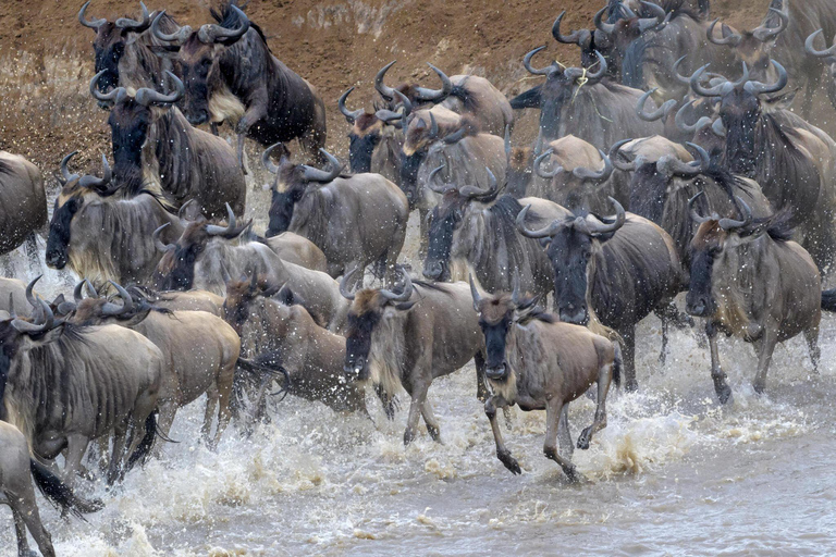 Safari de campismo de 3 dias no Serengeti e na Cratera de Ngorongoro