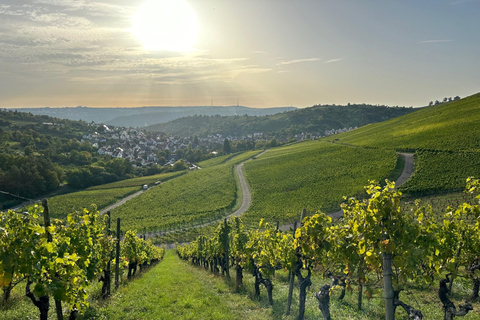 Stuttgart: Sparkling Wine Tour Sparkling Wine Tour