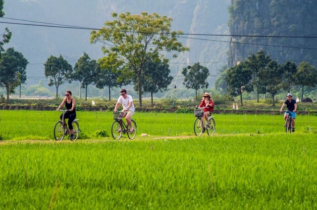 From Hanoi: 2-Day Tour Ninh Binh & Ha Long Bay Luxury Cruise