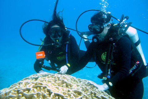 Easter Island – Introductory Dive in the Corals of Rapa Nui Easter Island: Introductory Dive in the Corals of Rapa Nui