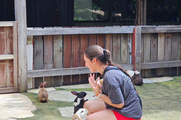 Chiangmai : Sticky waterfall & Land of angels & Wat ban den.