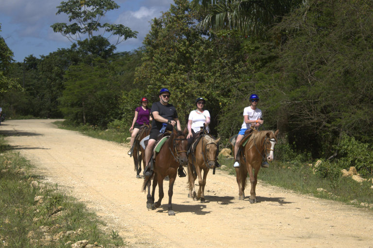 Puerto Plata: Beach Horseback Ride with Swim and Drinks Puerto Plata: Beach Horseback Ride with Swim and Drinks